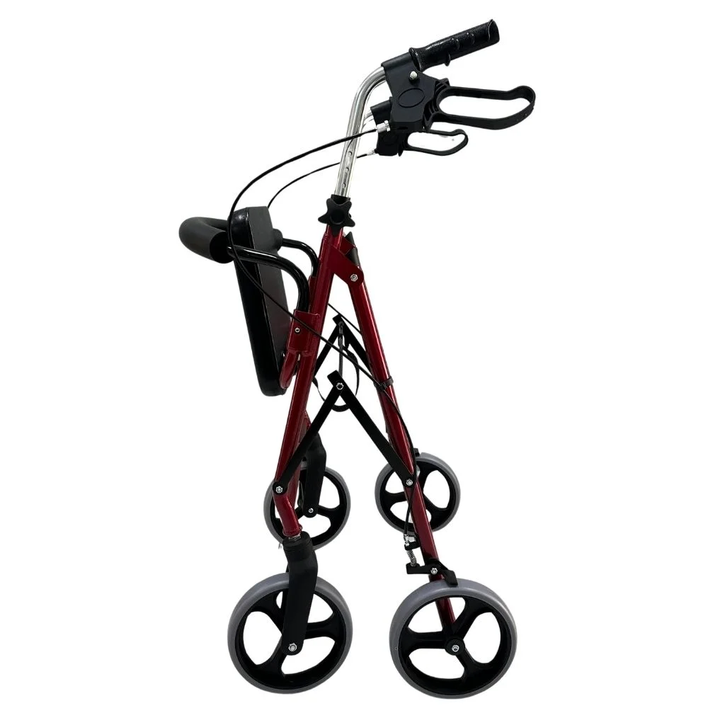 Poylin P580 Ekonomik Rollatör görsel 3