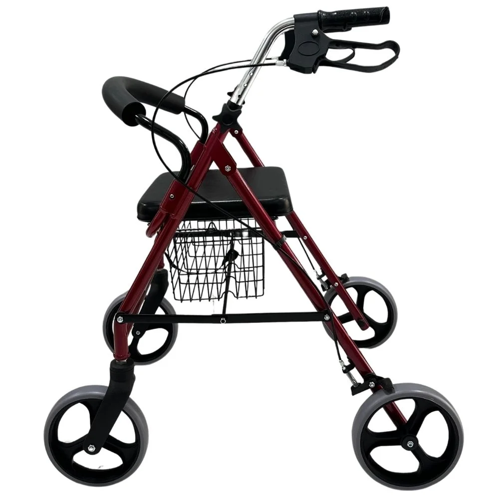 Poylin P580 Ekonomik Rollatör görsel 2